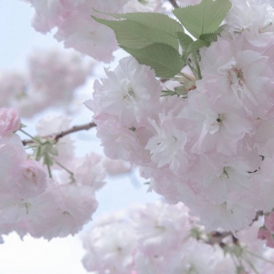 兽设原创改稿实用思路兽圈群